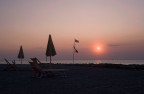I sopravvissuti