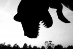 T-Rex.... T-Rex....