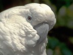 C'e per caso qualcosa che non va? C'e per caso qualcosa che non va?
