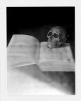 Libro e teschio in polaroid Libro e teschio in polaroid