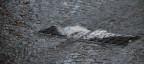 Una noiosa giornata di Pioggia Una noiosa giornata di Pioggia