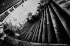 ...spirale ovale... ...spirale ovale...