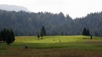 golf golf