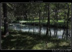 life stream life stream