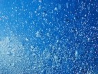 Acqua Acqua
