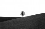 Al Centro Al Centro