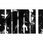 ingabbiata nell'immagine