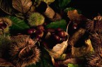 arrivano le castagne arrivano le castagne