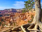 Bryce Canyon Bryce Canyon