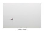 NELLA NEBBIA... NELLA NEBBIA...
