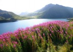 Mont Cenis Mont Cenis