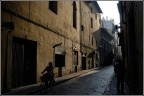 La mia Firenze La mia Firenze