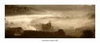 Velature al mattino Velature al mattino