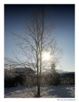 Soli nella neve Soli nella neve