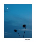 ...NOI DUE SOLI CON LA LUNA...