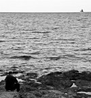 Solitudine opposta Solitudine opposta