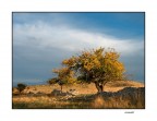 ...AUTUNNO... ...AUTUNNO...