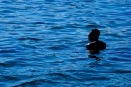 Blu e Nero Blu e Nero