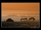 Paesaggi mattutino Paesaggi mattutino