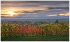 Langhe Langhe