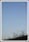 _ ' _ '