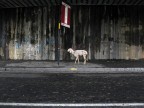 Aspettando il bus.. Aspettando il bus..