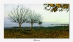 Autunno