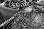 pescatori pescatori