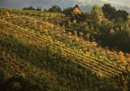 Terra d'Ottobre Terra d'Ottobre