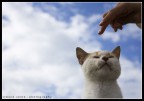 Coccole....whatelse? Coccole....whatelse?