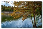 Colori d'autunno 2 Colori d'autunno 2
