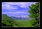 Immergersi nel verde.. Immergersi nel verde..