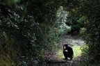 Nel mezzo del cammin di nostra vita... Nel mezzo del cammin di nostra vita...