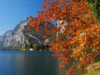 Colori sul lago Colori sul lago
