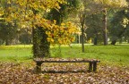 ...autumn...