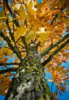 autunno autunno