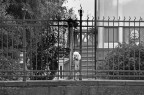 IMG_7548 IMG_7548