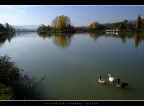 A passeggio... A passeggio...
