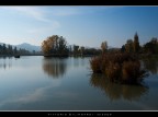 ...al Lago ...al Lago