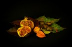 still.....still life still.....still life