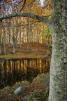 colori d'autunno colori d'autunno
