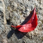 Autunno Autunno