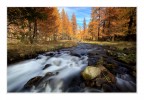 Correnti d'autunno Correnti d'autunno