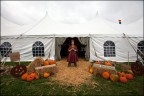 Wedding at Halloween