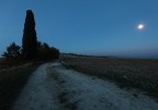 Moonlight Moonlight