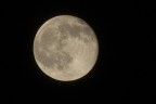 Luna Luna