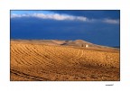 ...MY SWEET LAND... ...MY SWEET LAND...