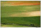 Strade Strade