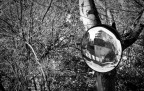 Distorsione Distorsione