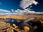 Laguna Colorada Laguna Colorada